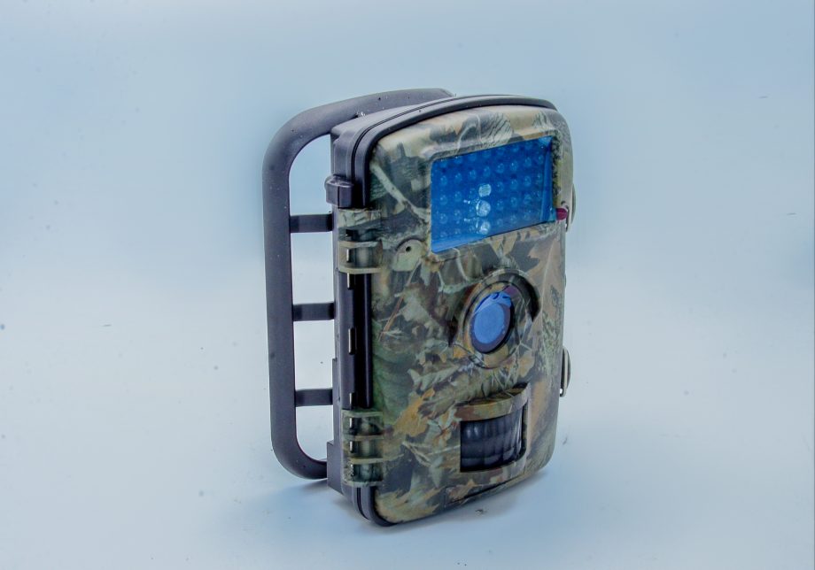 Wildlife Trial Camera